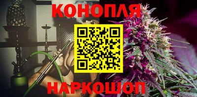 спиды Новозыбков