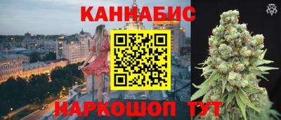 спиды Новозыбков