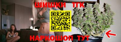 спиды Новозыбков