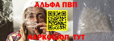 спиды Новозыбков